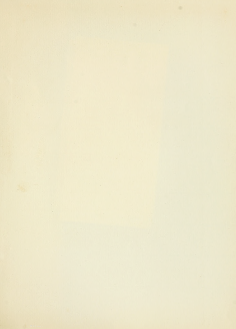 Original scan of Tannhäuser, PDF page 147