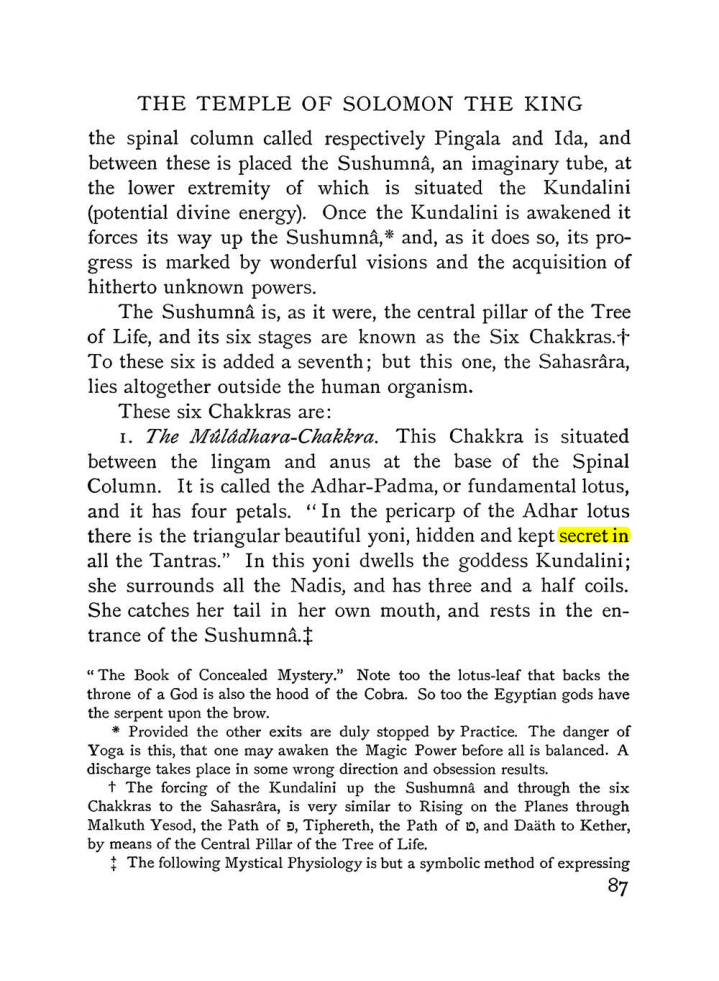 Original scan of The Equinox (Volume I, Number IV), PDF page 99