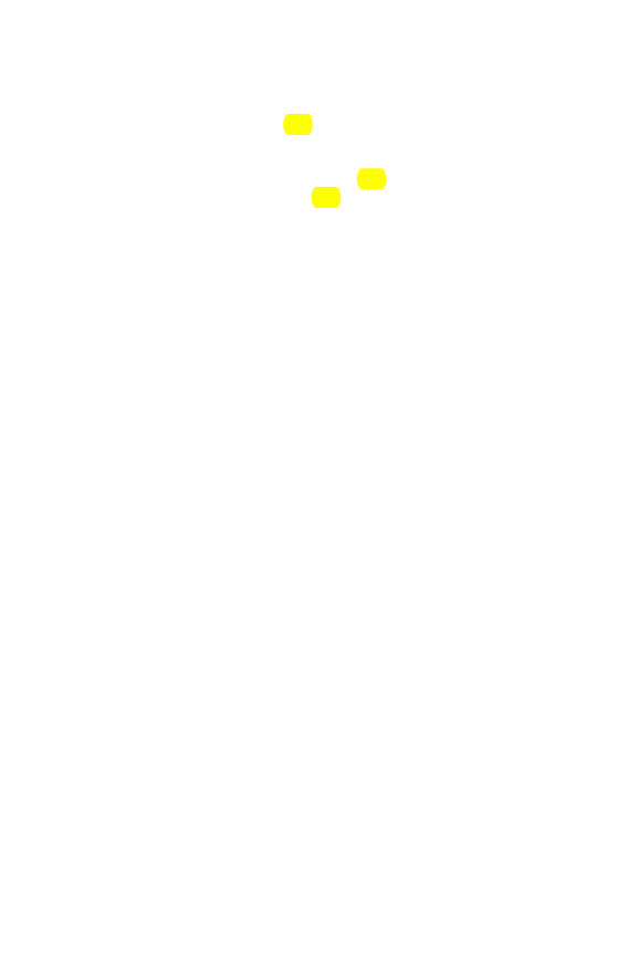 Original scan of The Star in the West, PDF page 209
