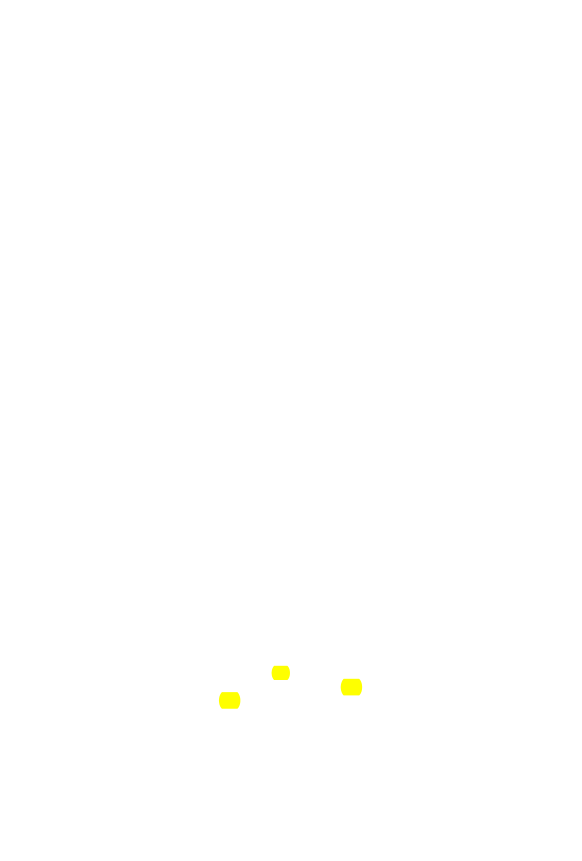 Original scan of The Star in the West, PDF page 260