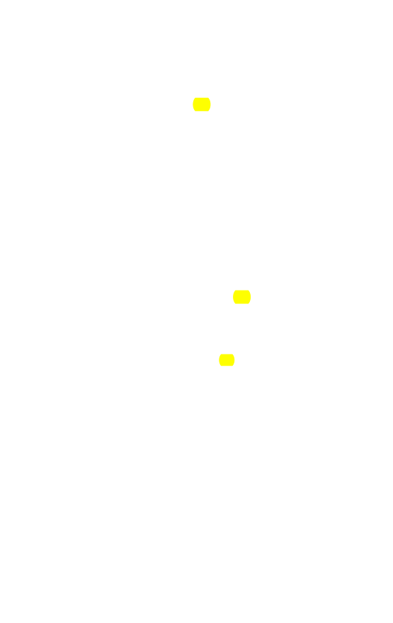 Original scan of The Star in the West, PDF page 274