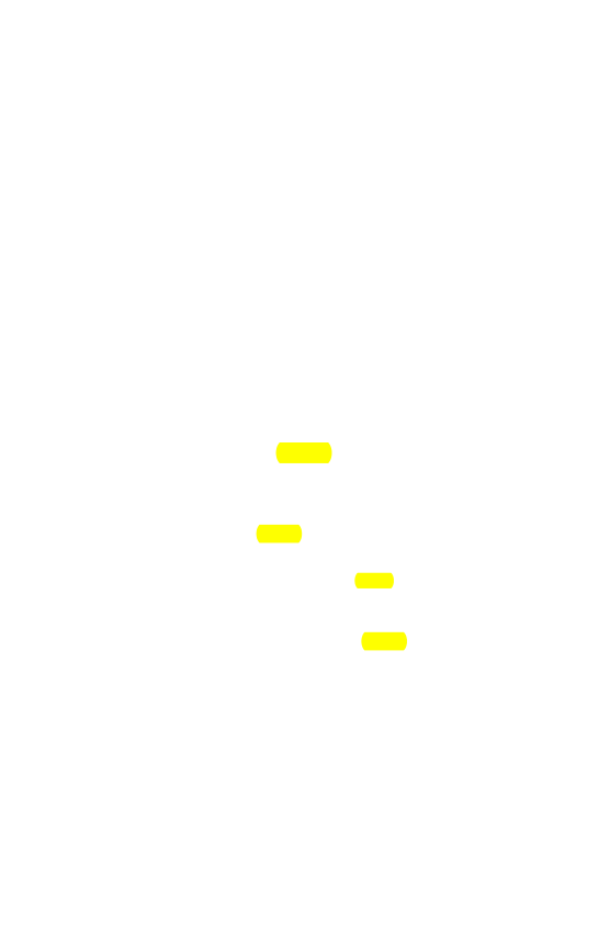 Original scan of The Star in the West, PDF page 291