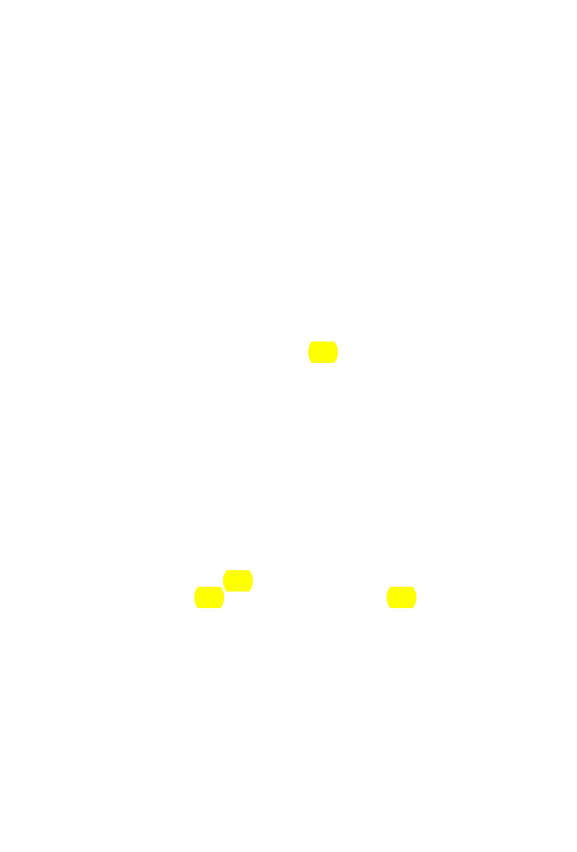 Original scan of The Star in the West, PDF page 333