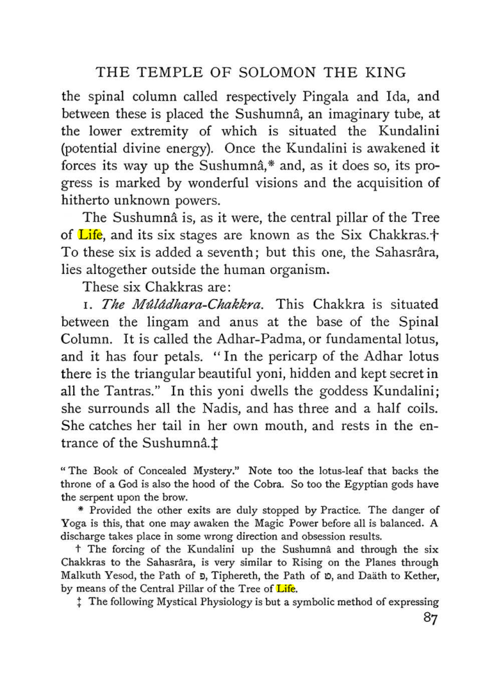 Original scan of The Equinox (Volume I, Number III), PDF page 99