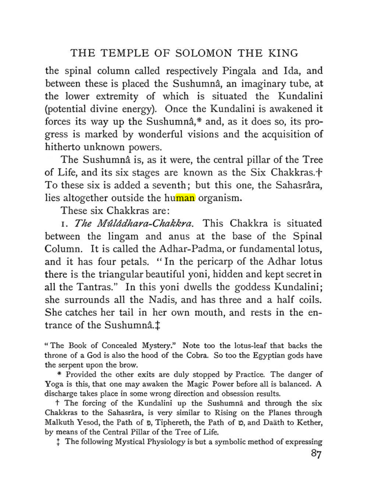 Original scan of The Equinox (Volume I, Number III), PDF page 99