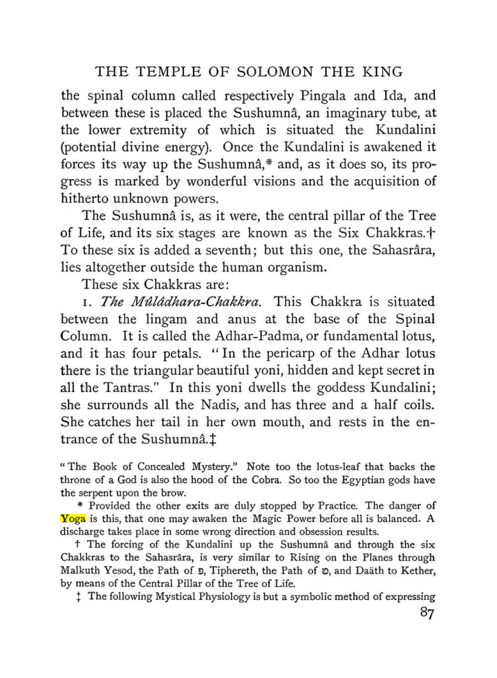 Original scan of The Equinox (Volume I, Number III), PDF page 99