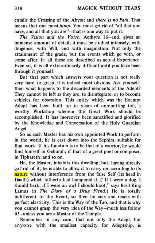 Original scan of Magick Without Tears, PDF page 351